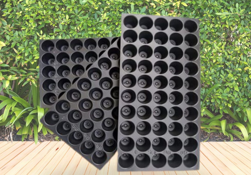 Seedling Trays